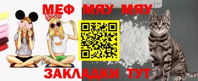 кокс Гатчина