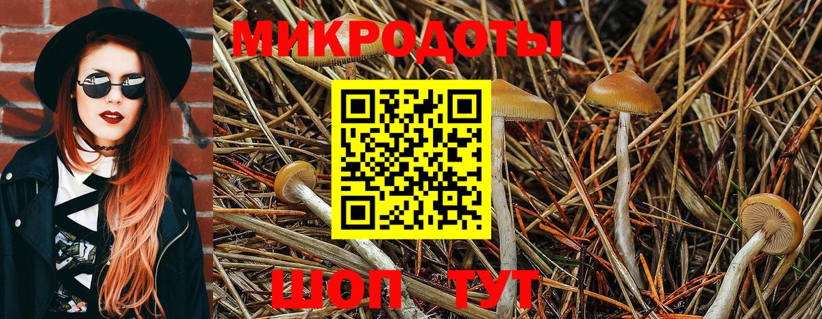 Галлюциногенные грибы Cubensis  Вход с VPN  Галлюциногенные грибы мицелий  Можга 
