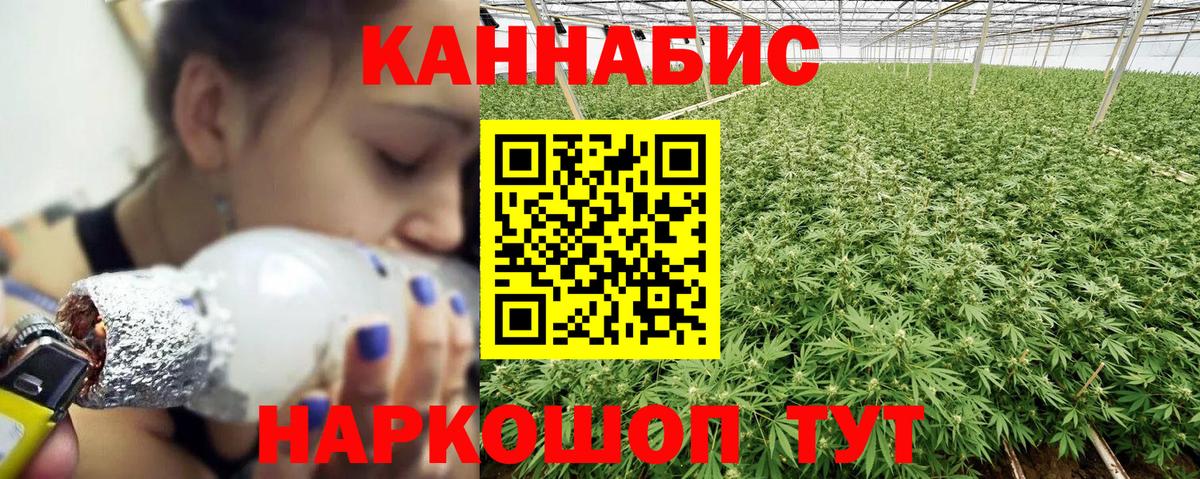 Конопля семена Можга